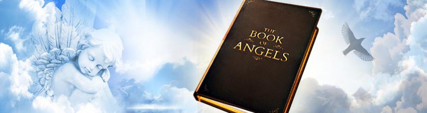 O livro dos anjos