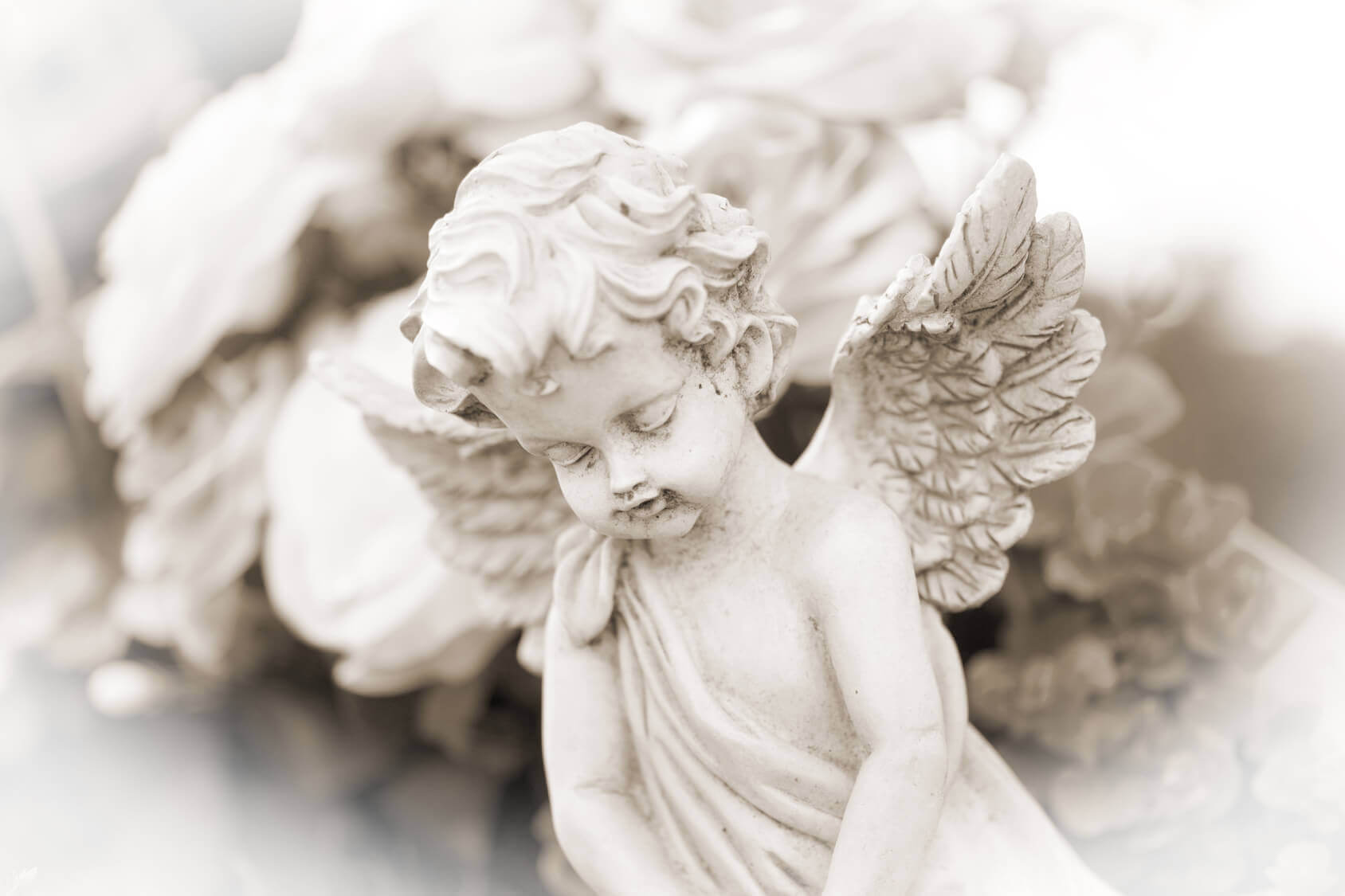 Todo mundo tem um Anjo da Guarda – Quem é o meu e como vê-lo?
