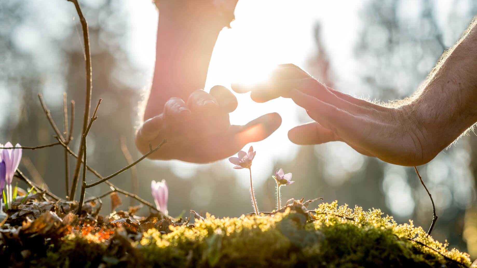 como utilizar o pensamento positivo para viver melhor